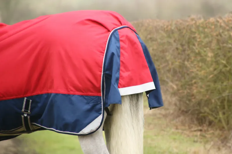 DefenceX System 200g Turnout Rug with Detachable Neck Cover - Dark Red-2